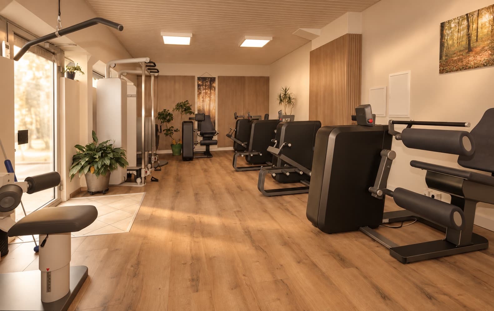 Heller Trainingsraum mit milon Geräten, Holzboden und Pflanzen bei Physio-Fit Formum